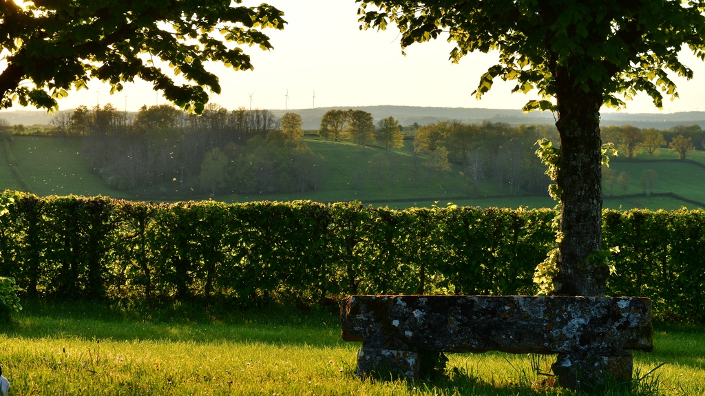 2022-04 Bourgogne/DSC_7089.JPG
